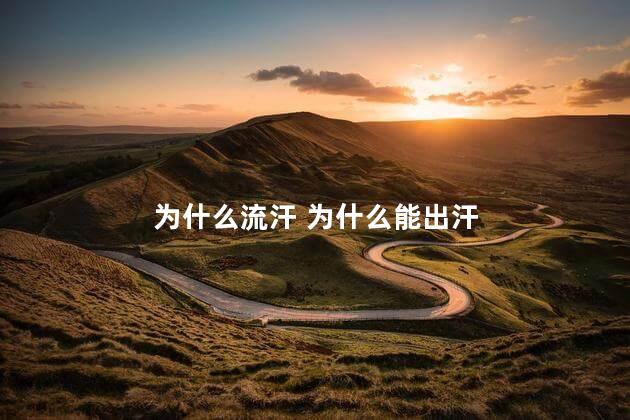 为什么流汗 为什么能出汗